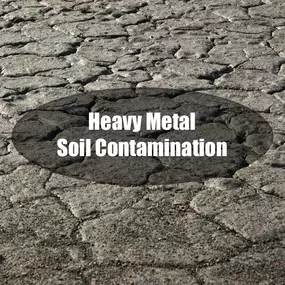 Soil Testing for Contamination, Arsenic, Mercury, Lead, Cadmium and more ...
Learn more: https://allamericanenviro.com/soil-testing-for-contamination-arsenic-mercury-lead-cadmium-more/