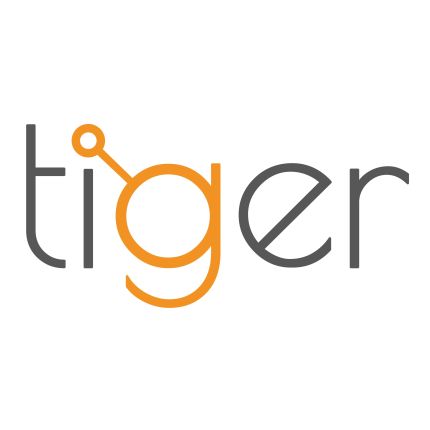 Logo von Tiger Systems Ltd