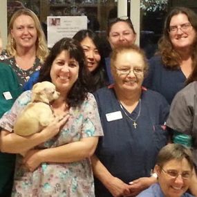 The experienced and caring team of VCA Sunset Animal Medical Center.