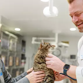 Bild von VCA Sunset Animal Medical Center