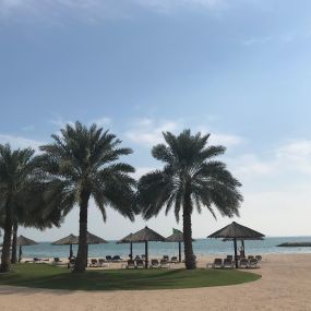 Katar Doha palmy na pláži