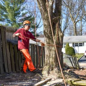 Bild von Randy's Pro Landscaping & Tree Service