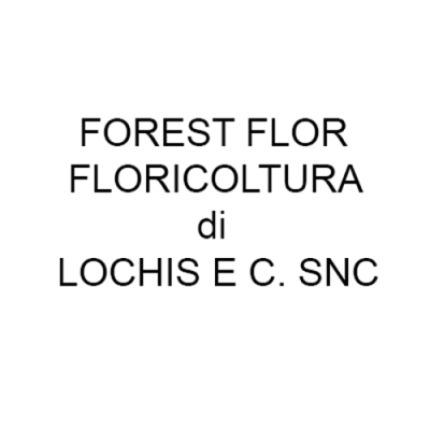 Logotipo de Forest Flor Floricoltura