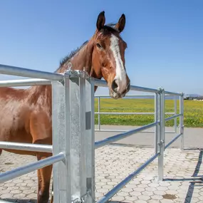 Bild von Alpsteinzaun + Tor AG