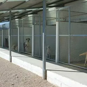 residencia-canina-en-baix-camp.jpg