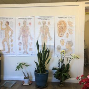 Bild von Wave Q Acupuncture Clinic