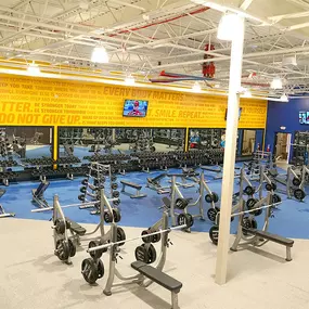 Bild von Club Fitness - O'Fallon IL