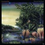 Tango In The Night (Deluxe) Fleetwood Mac auf LP + DVD + CD