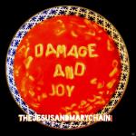 Damage And Joy The Jesus and Mary Chain auf CD