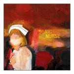 Sonic Nurse Sonic Youth auf CD EXTRA/Enhanced