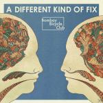A Different Kind Of Fix Bombay Bicycle Club auf CD