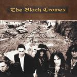 The Southern Harmony And Musical Companion The Black Crowes auf Vinyl