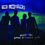 Anthems for dommed youth The Libertines auf Vinyl