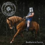 Brothers In Farms Steve´n´Seagulls auf CD