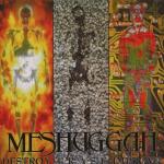 Destroy Erase Improove-Reloade Meshuggah auf CD
