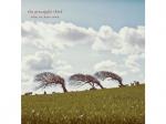 The Pineapple Thief - What We Have Sown [CD]