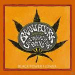 Black Power Flower (Ltd.First Edt.) Brant Bjork And The Low Desert Punk auf CD