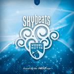 Skybeats 1 (Wedelhütte) VARIOUS auf CD