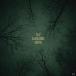 The Blinding Dark (2CD im Buchformat) Covenant auf CD