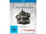 The Cabin in the Woods [Blu-ray]