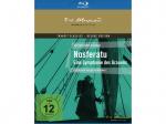 Nosferatu - Eine Symphonie des Grauens [Blu-ray]