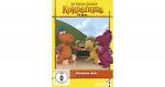 DVD Der kleine Drache Kokosnuss 8 - Sturmfreie Bude Hörbuch