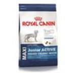 Royal Canin Hundefutter Maxi Junior Active 15 kg, 1er Pack (1 x 15 kg)