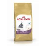 Royal Canin Feline Kitten British Shorthair 10 kg