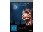 American Werewolf [DVD]