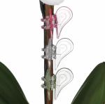 Orchideen-Clip, 1 Stück