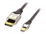 Lindy Premium - DisplayPort-Kabel - DisplayPort (M) bis Mini DisplayPort (M) - 1 m - Anthrazit