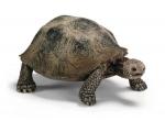 Schleich® 14601 Riesenschildkröte