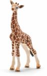 Schleich Giraffenbaby