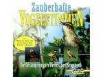 Vogelstimmen/Naturgeräusche - Zauberhafte Vogelstimmen [CD]