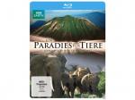 Ein Paradies für Tiere - Afrikas wildes Herz [Blu-ray]