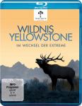 Wildnis Yellowstone-im Wechsel der Extreme auf Blu-ray