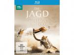 Die Jagd - Auf Leben und Tod Blu-ray