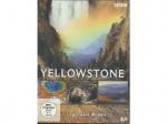 Yellowstone - Legendäre Wildnis DVD