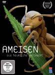 Ameisen - Die heimliche Weltmacht auf DVD