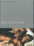 Der Eissturm - (DVD)