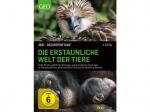 Die erstaunliche Welt der Tiere 360° GEO Reportage [DVD]