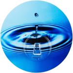 Wenko Static-Loc Wandhaken Uno Water Circle