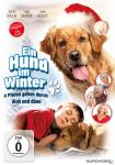 Ein Hund im Winter - 4 Pfoten gehen durch dick und dünn auf DVD