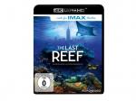 The Last Reef 4K Ultra HD Blu-ray