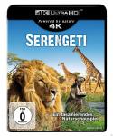 Serengeti - Ein faszinierendes Naturschauspiel auf 4K Ultra HD Blu-ray