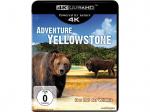 Adventure Yellowstone 4K Ultra HD Blu-ray