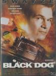 Black Dog DVD