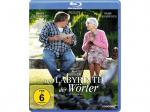 Das Labyrinth der Wörter [Blu-ray]