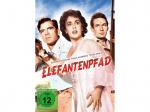 Elefantenpfad [DVD]