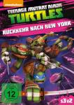 Teenage Mutant Ninja Turtles: Rückkehr nach New York auf DVD